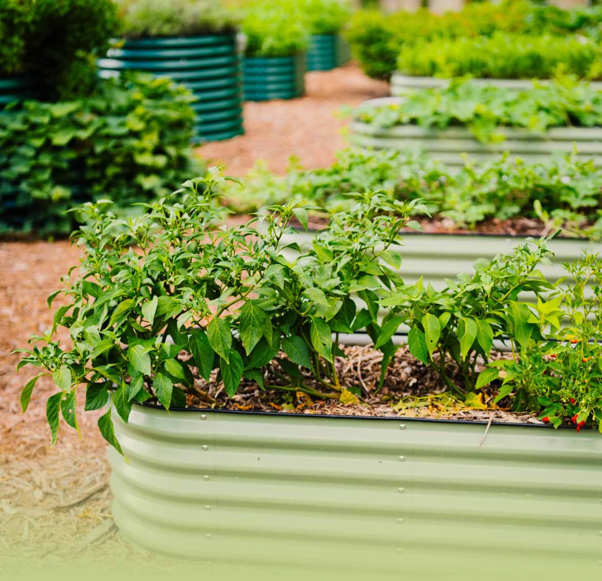 Need a Different Size?