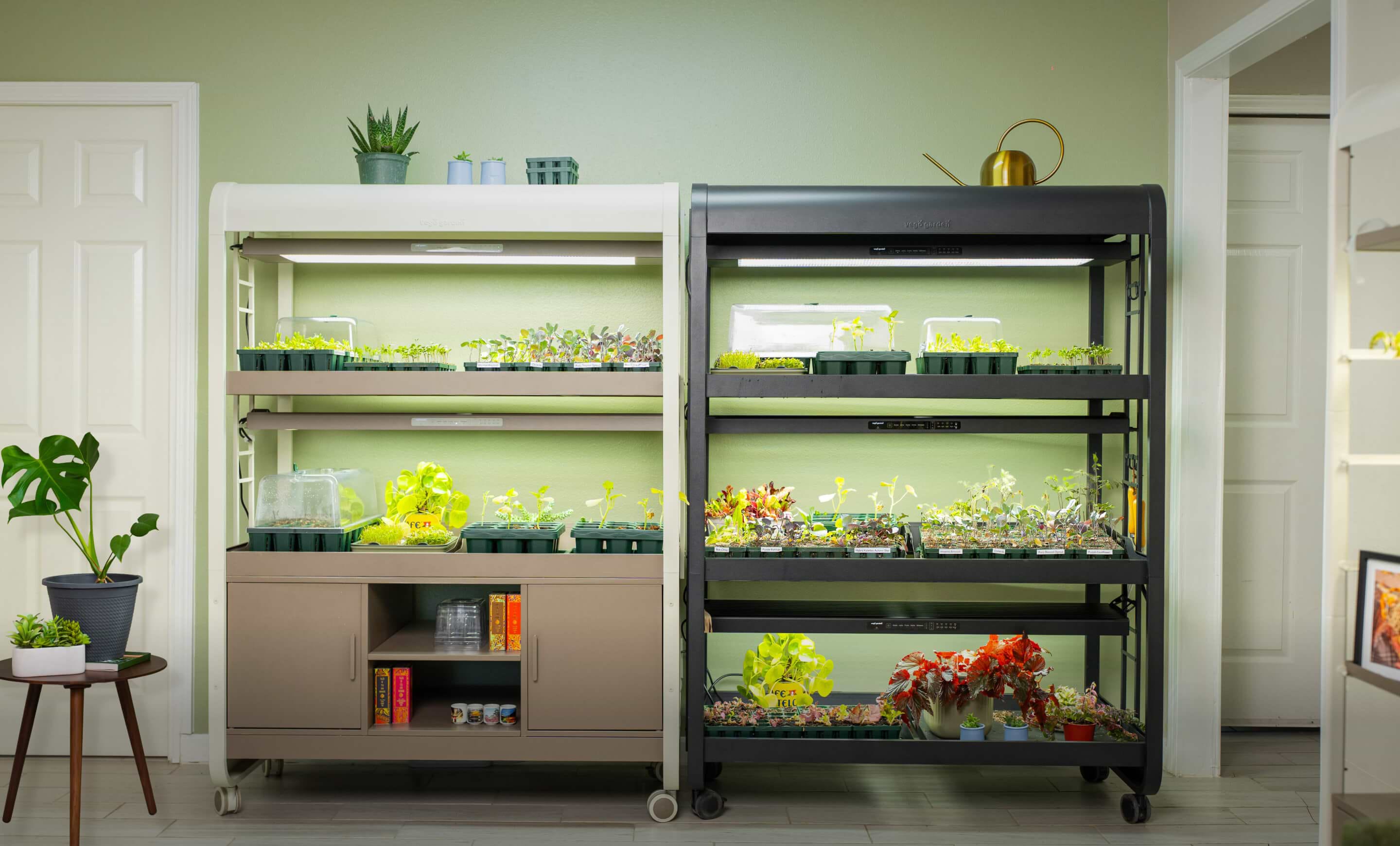 garden.m　ナチュラルビオクレンジング110g 4本セット Ultimate Grow Light Garden with Storage | Vego Garden