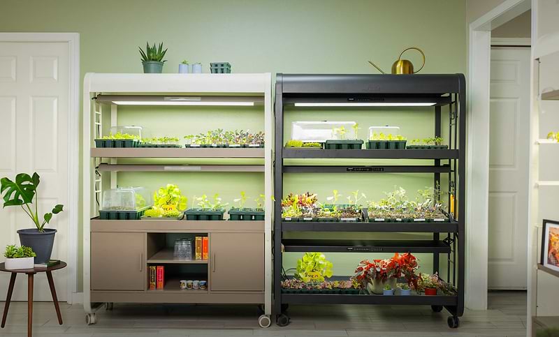 plant growing shelves with lights Ultimate Grow Light Garden with Storage