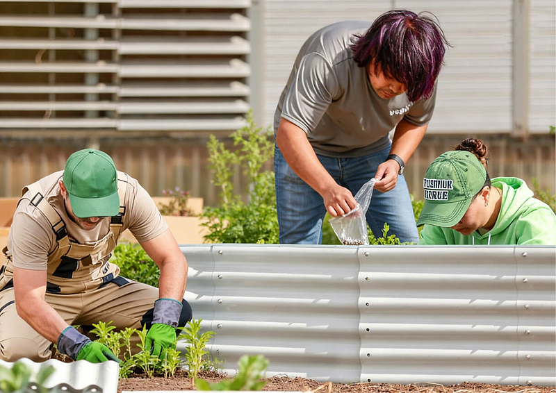 Vego garden beds