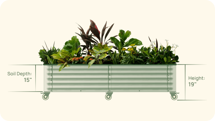 Vego garden beds