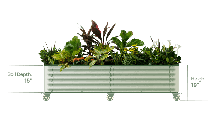 Vego garden beds