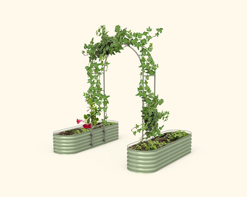 Vego garden beds