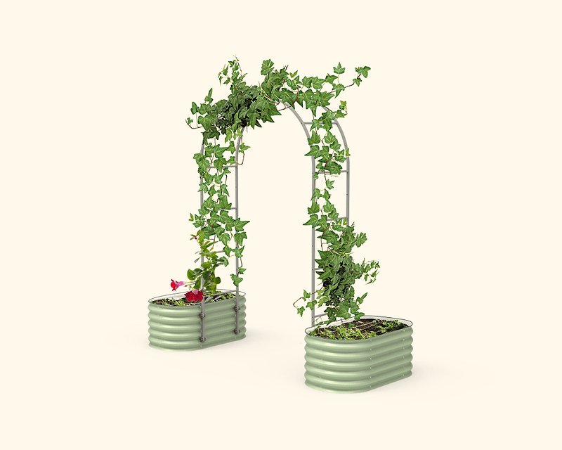 Vego garden beds