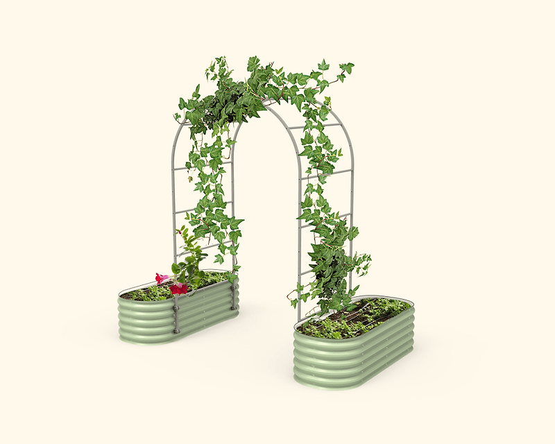 Vego garden beds