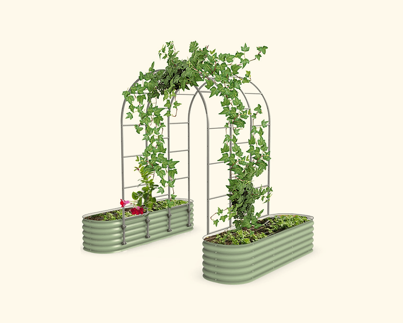 Vego garden beds