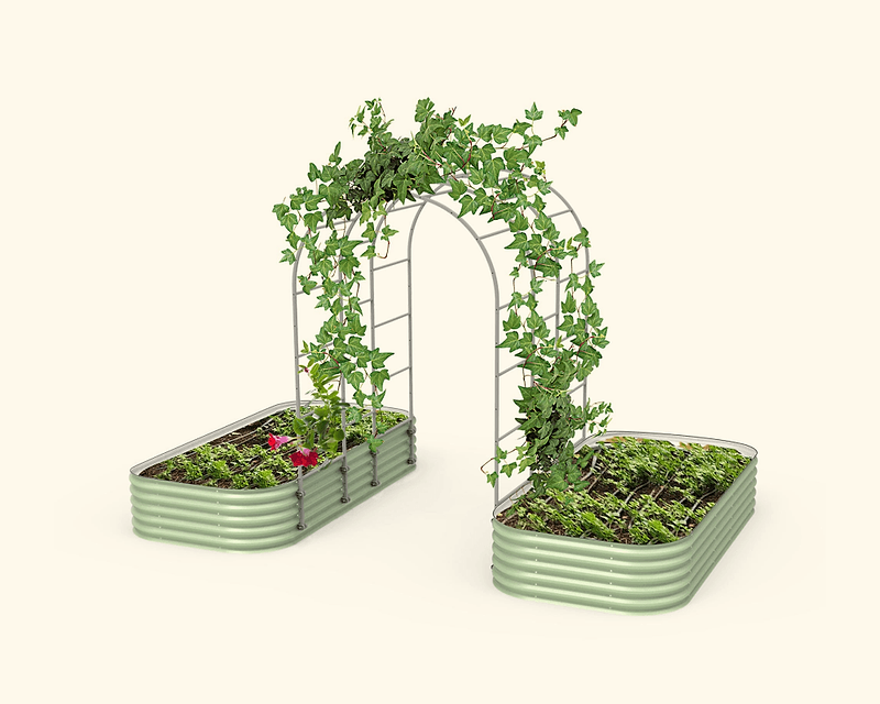 Vego garden beds