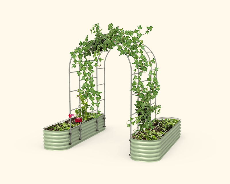 Vego garden beds