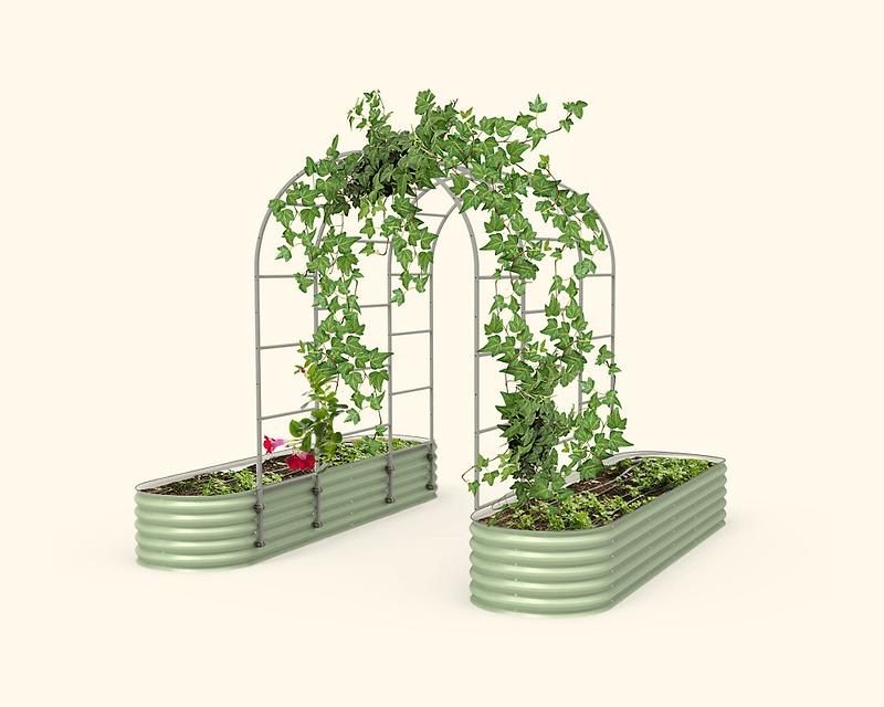 Vego garden beds