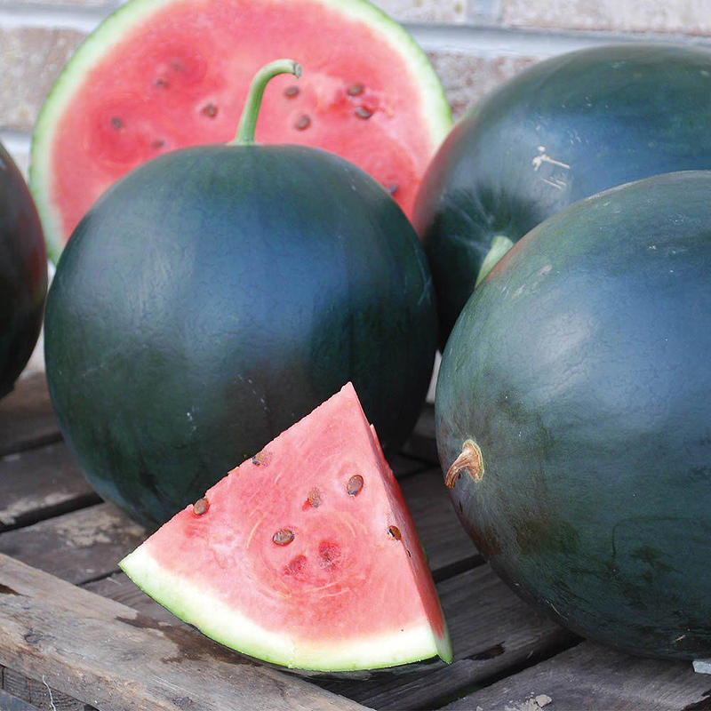 Black Diamond Watermelon Seeds