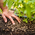 Organic Fertilizer | Vego Garden