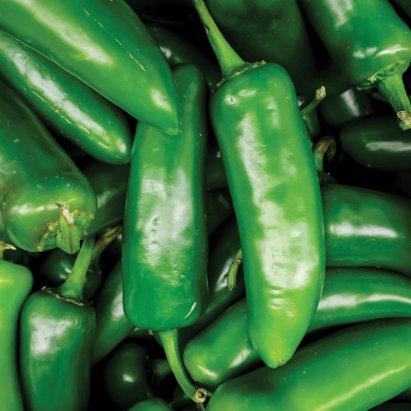 Tam Mild Jalapeño Seeds