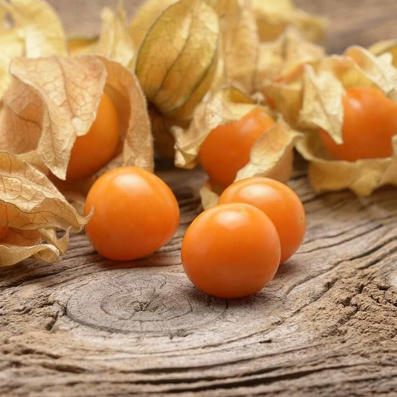 Pineapple Tomatillo Seeds