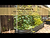 Vego Garden Modular Wall Trellis