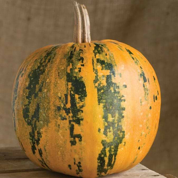 Kakai Pumpkin Seeds