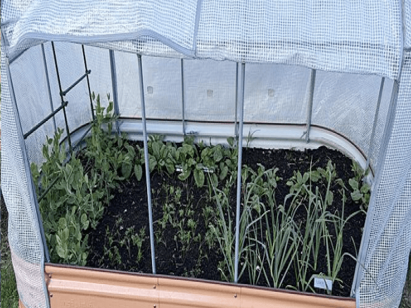 Vego garden beds