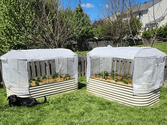 Vego garden beds