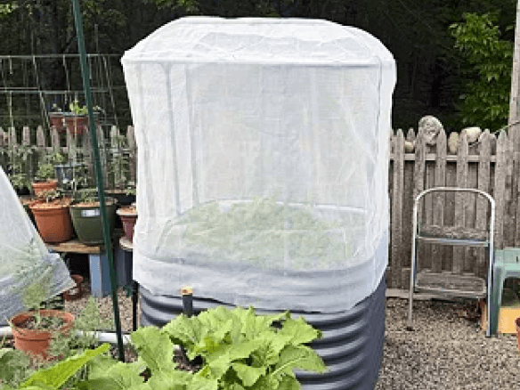 Vego garden beds