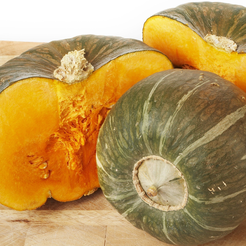 Burgess Buttercup  Squash Seeds