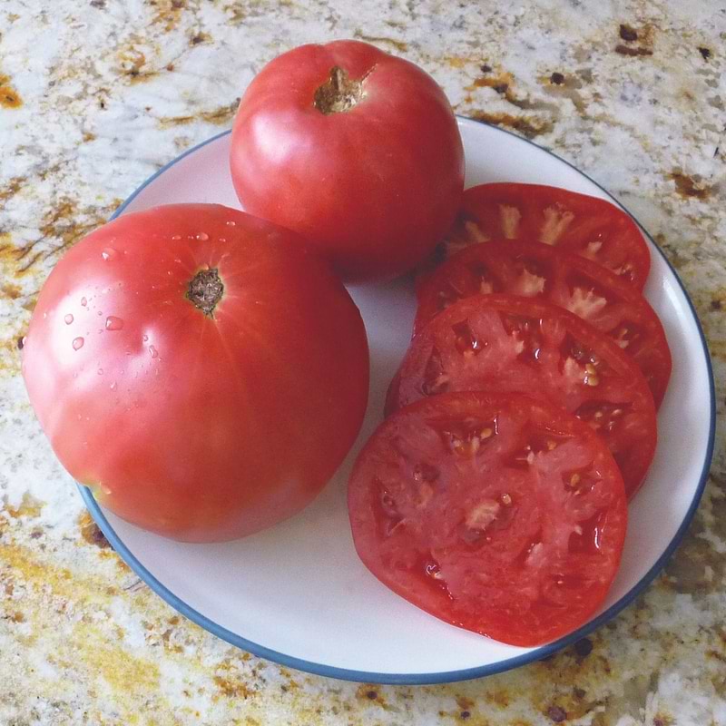 Granny Cantrells Seeds