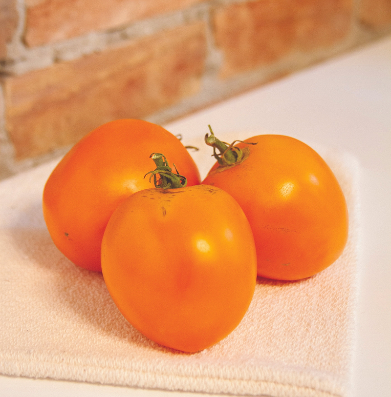 Valencia Tomato Seeds