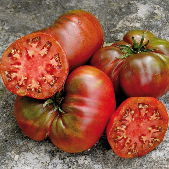 Black Sea Man Tomato Seeds