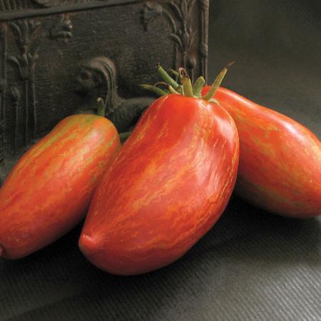 Striped Roma Tomato Seeds