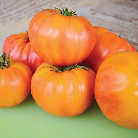 Old German Tomato Seeds