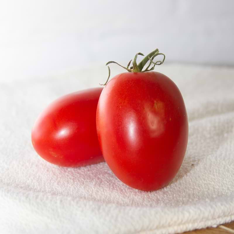 Quadro Tomato Seeds
