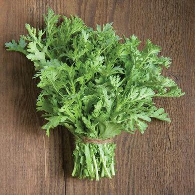 Shungiku - Edible Chrysanthemum Seeds