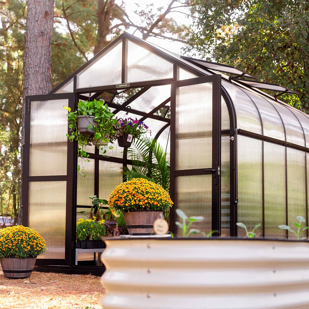 Why Choose Glass Greenhouse Panels? - Amerlife - Green House Materials