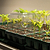 Vego Garden | Seedling Tray Drip Irrigation Lid