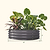 11" Tall 42" Round Modular Metal Raised Garden Bed Kit