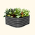 vego-garden-17-tall-4-in-1-small-modular-metal-raised-garden-bed-kit | Vego Garden