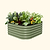 vego-garden-17-tall-4-in-1-small-modular-metal-raised-garden-bed-kit | Vego Garden