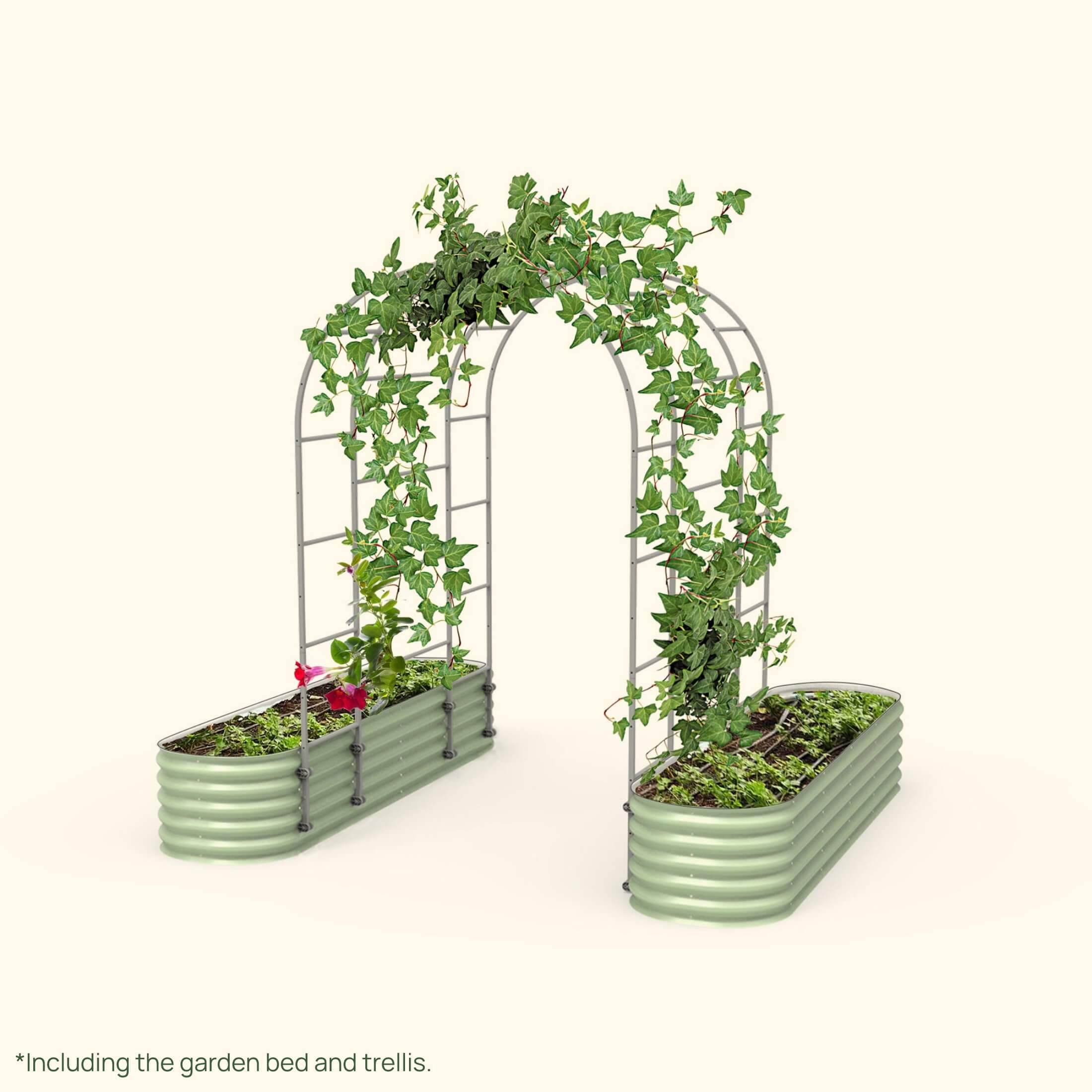 Arched Trellis 2.0&