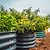 17" Tall 10 In 1 Modular Metal Raised Garden Bed Kit | Vego Garden