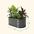 17" Tall Kids First Garden Bed 42" x 24"