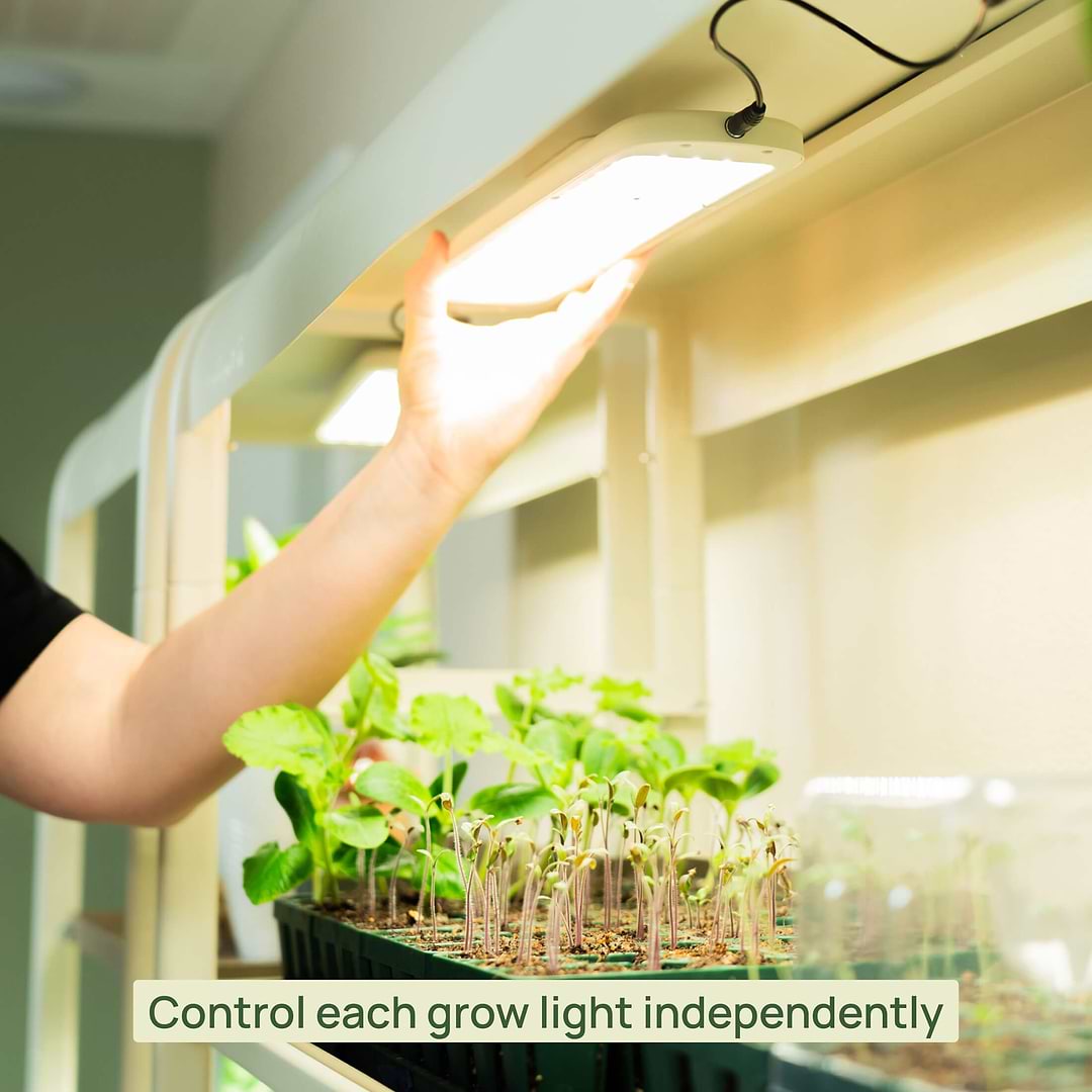 led grow lights indoor plants 4 Tier Grow Light Garden