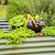 Vego Garden 26 Tall 10 In 1 Modular Metal Raised Garden Bed Lifestyle 02