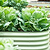 Vego Garden 26 Tall 4 In 1 Modular Metal Raised Garden Bed Lifestyle 03