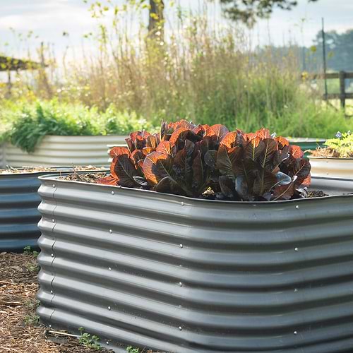 Vego Garden 26 Tall 6 In 1 Modular Metal Raised Garden Bed Lifestyle 01