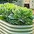 Vego Garden 26 Tall 6 In 1 Modular Metal Raised Garden Bed Lifestyle 02