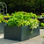 32" Tall Modern Raised Gaden Beds 42" x 83" |Vego Garden