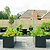 32" Tall Modern Raised Gaden Beds 42" x 83" |Vego Garden