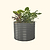 Vego Garden | 32" Extra Tall 42" Wide Round Metal Raised Garden Bed Kit | Modern Gray