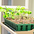 The Grow Light Garden Series F4S | Vego Garden