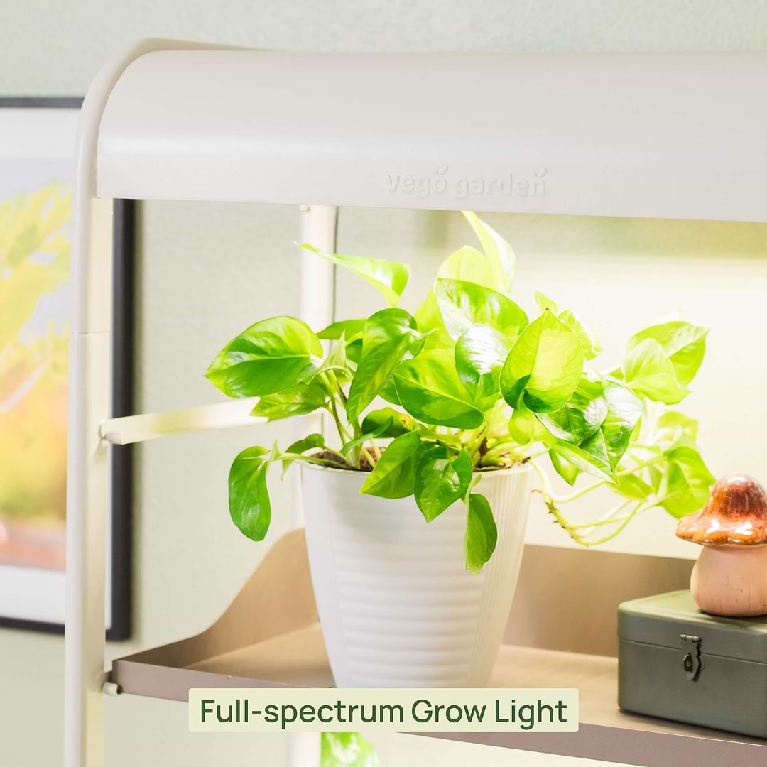 grow light for 4 plants 4 Tier Grow Light Garden Pro