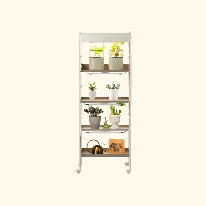 shelves for growing plants indoors 4 Tier Grow Light Garden