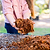 Vego Garden Coco Mulch | Vego Garden